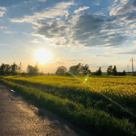 Nibylandia Dom Pod Lasem