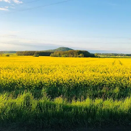Ferienhaus Nibylandia Dom Pod Lasem *