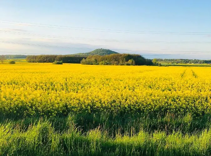 Semesterbostad Nibylandia Dom Pod Lasem *
