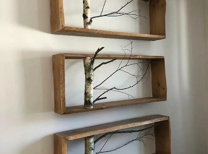 Nibylandia Dom Pod Lasem Nowa Wies Grodziska